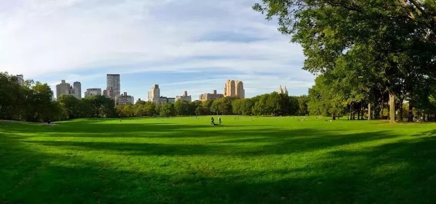 金奥文昌公馆丨有一种奢侈叫我家住在公园里