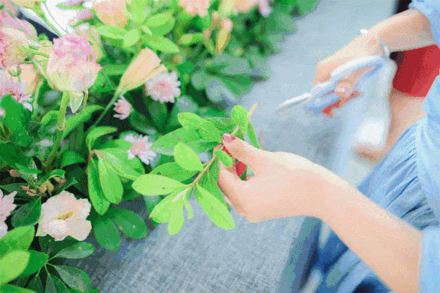 640_426gif 动态图 动图