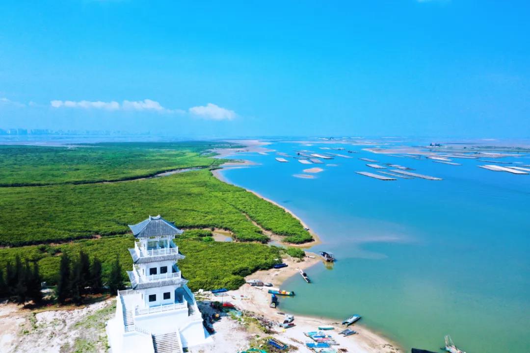 邂逅缤纷廉州海湾共度美好时光