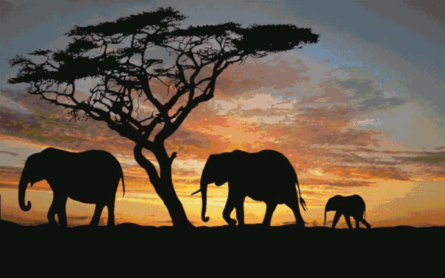 非洲风情节降临恒大华府!快来体验最原始的旋律吧