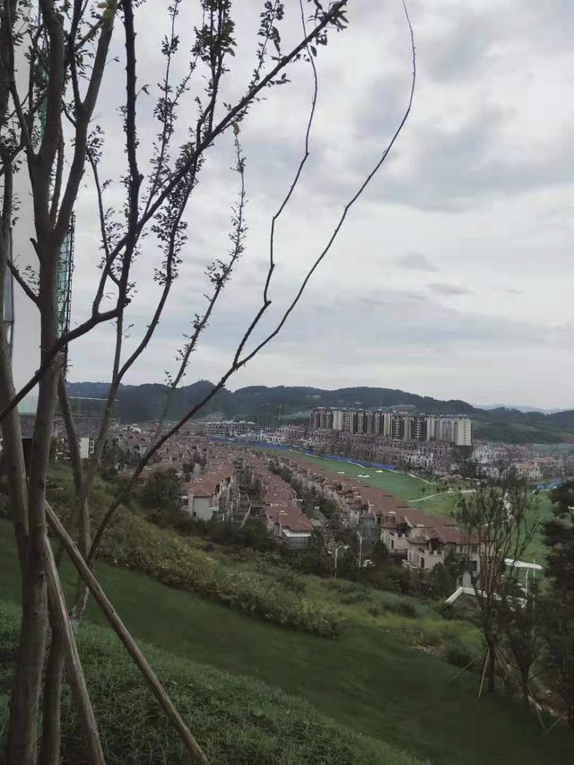 乐湾国际城云栖谷高层图片