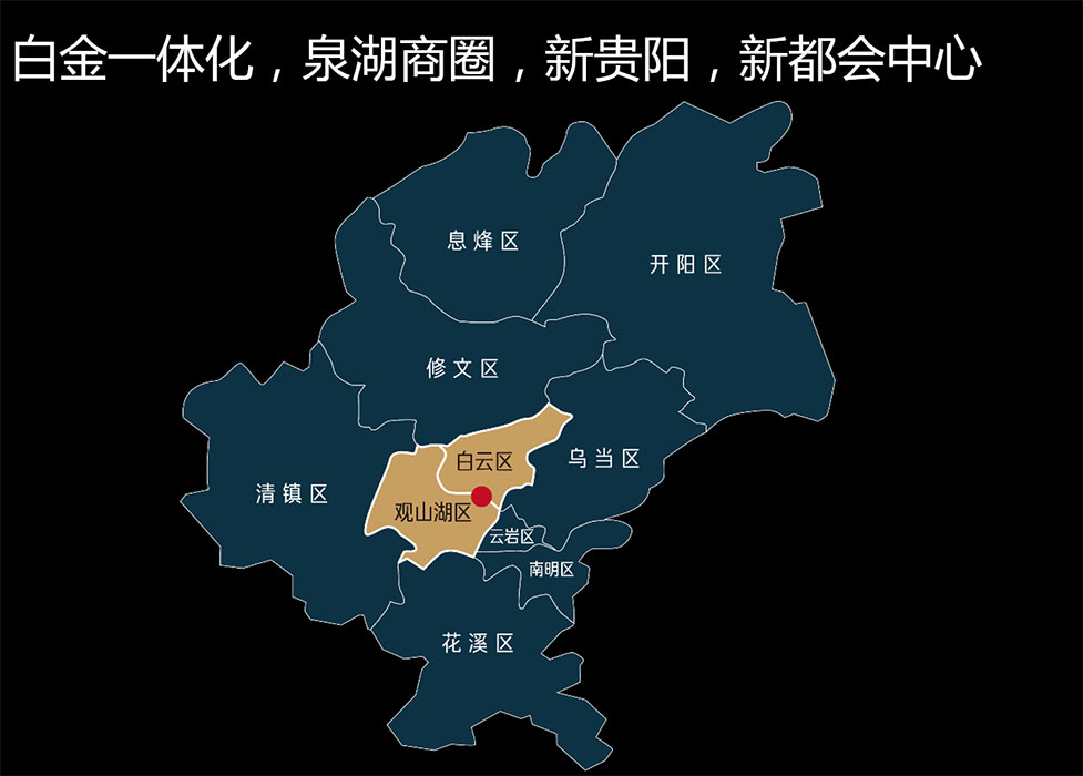 贵阳市金阳新区地图图片