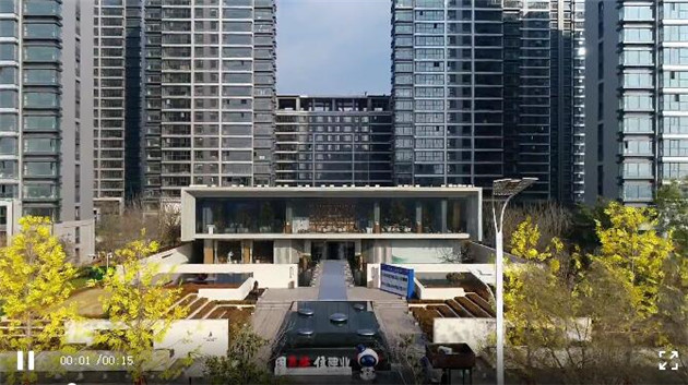 建业天筑丨千年橄榄圣树传承仪式圆满落幕