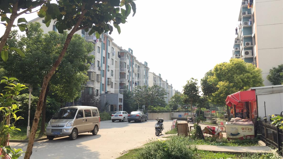 合租| 川杨新苑三期,精装修,拎包入住,本周必出