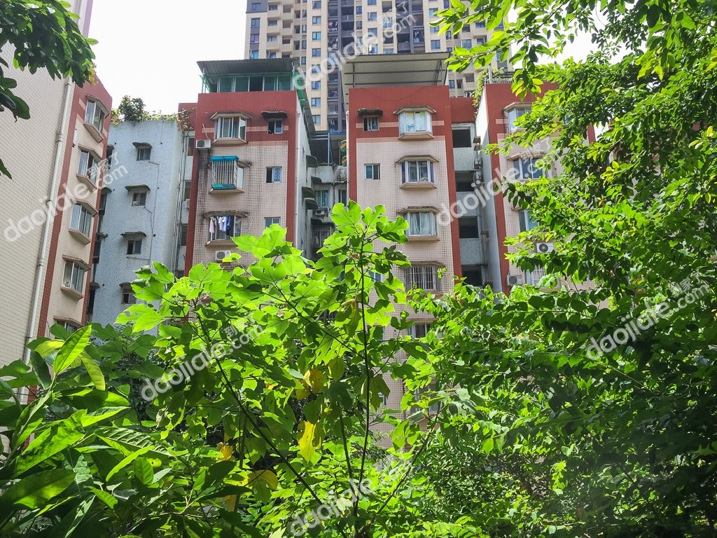 【绿苑新村租房_绿苑新村房屋出租|重庆绿苑新村整租房】-重庆诸葛找