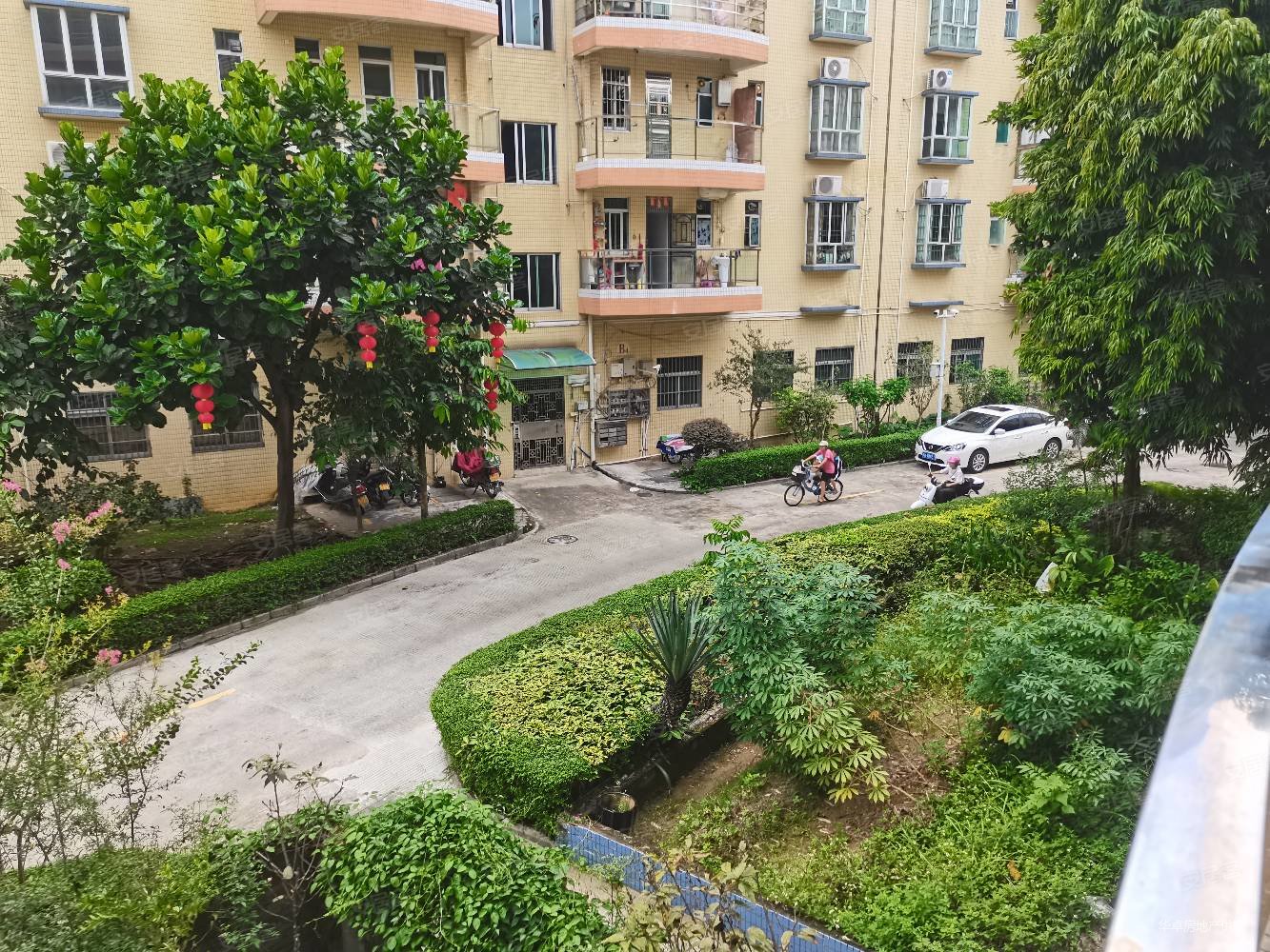 鼎湖山水居二手房,鼎湖山下山水居步梯二楼126方精装大三房单价5字头