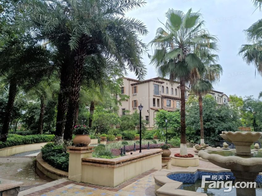 高要滨江新城重点发展区域湖景洋房珀丽湾40万即可拥有