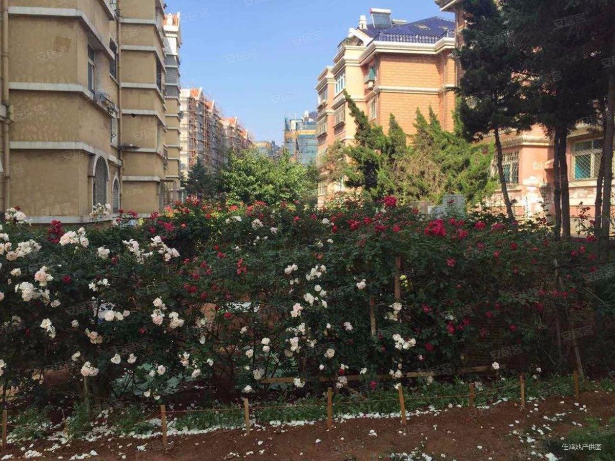 欣乐公园楼层三室南北通厅通透东明厅户型方正