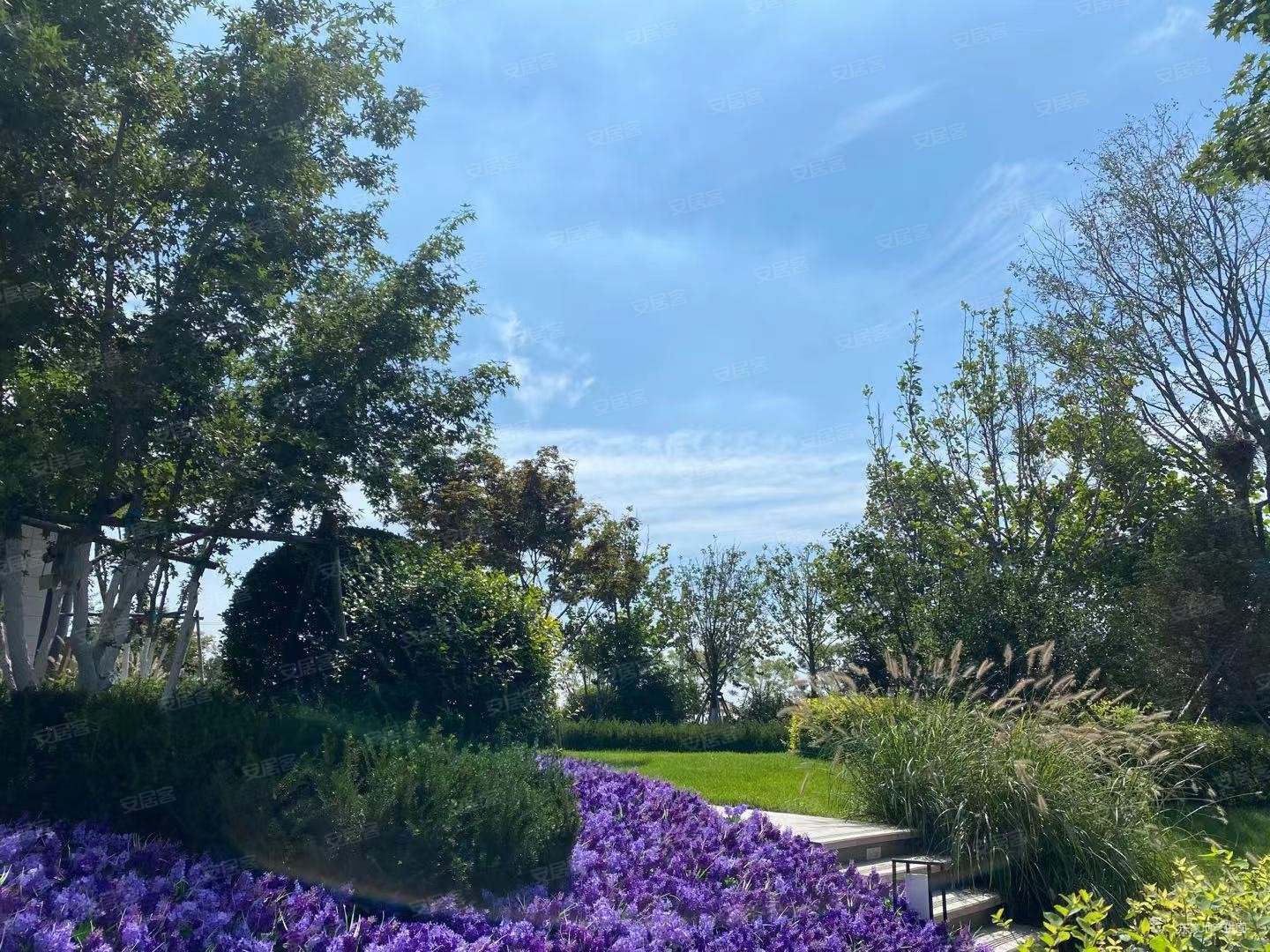 小窑湾发展核心项目区域富力东堤湾畔一线海景未来商业中心地带