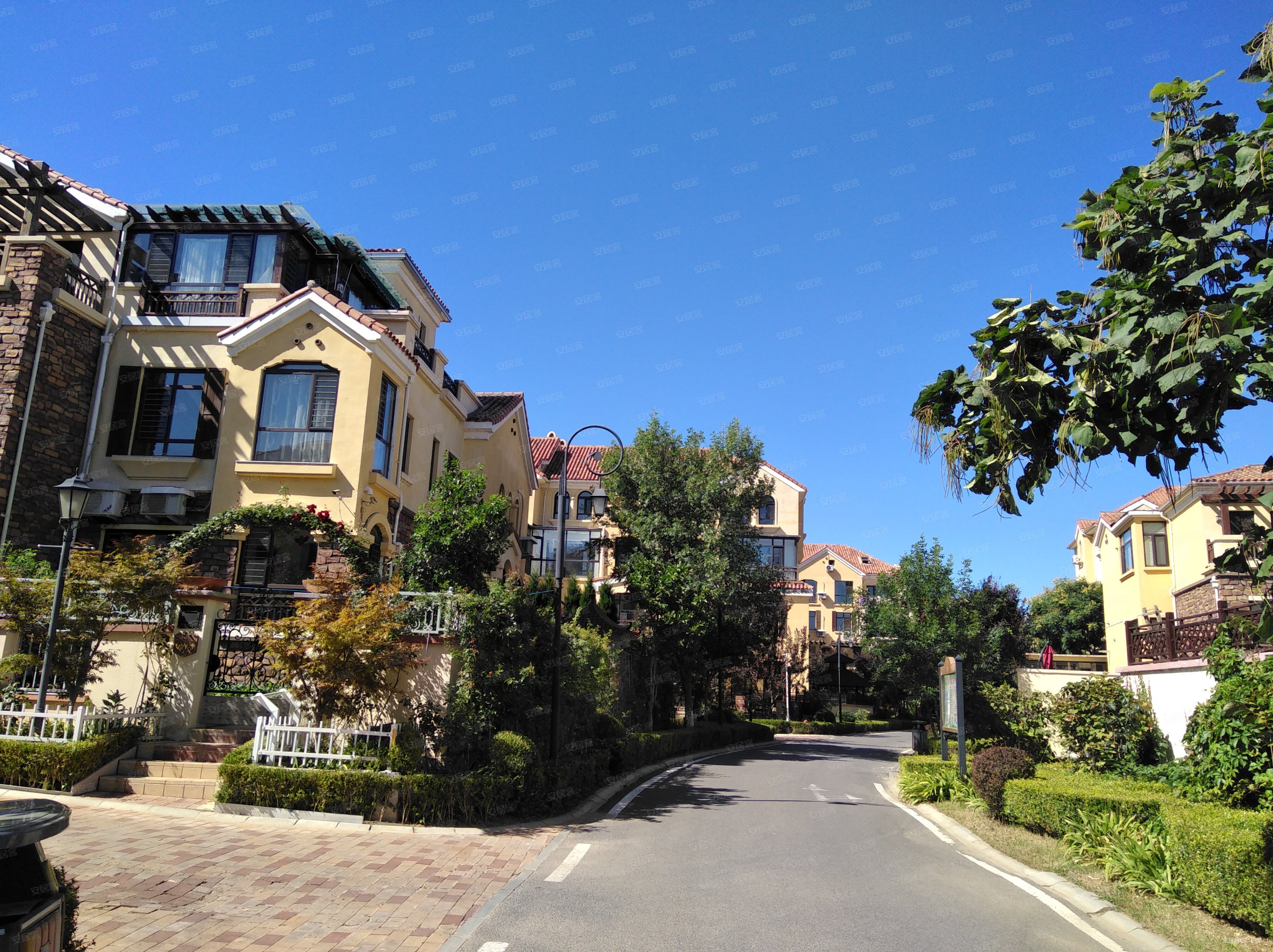 鲁能别墅!近300平边户大院!70年住宅产权!