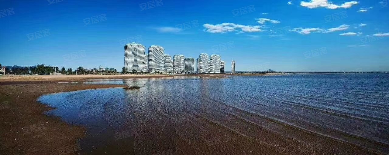 东戴河佳兆业高层看海两居室急售经典格局南北通透二手房