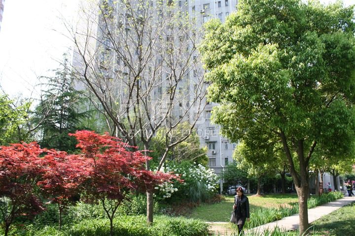 上大东村