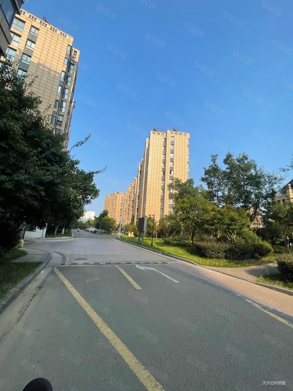 香树湾南区二手房_宁波香树湾南区二手房出售信息,在售房源-宁波诸葛