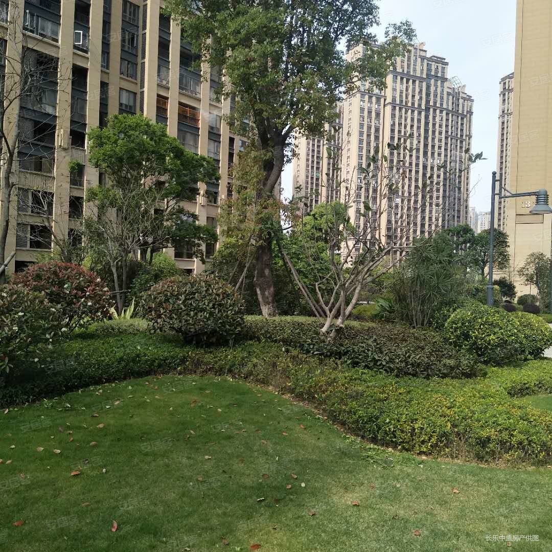 大润发旁首占新区泰禾红誉一期大复式南北通透带车位大润发旁首占新区