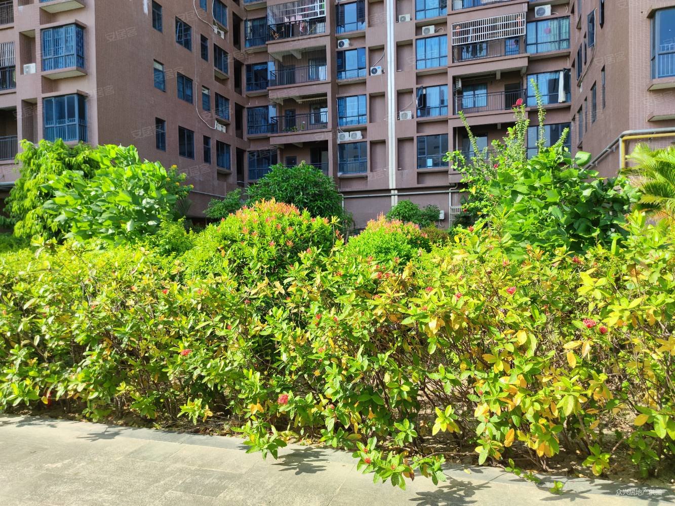 天虹商场旁 华悦名苑 次新小区 学房 首付15万起拎包入住