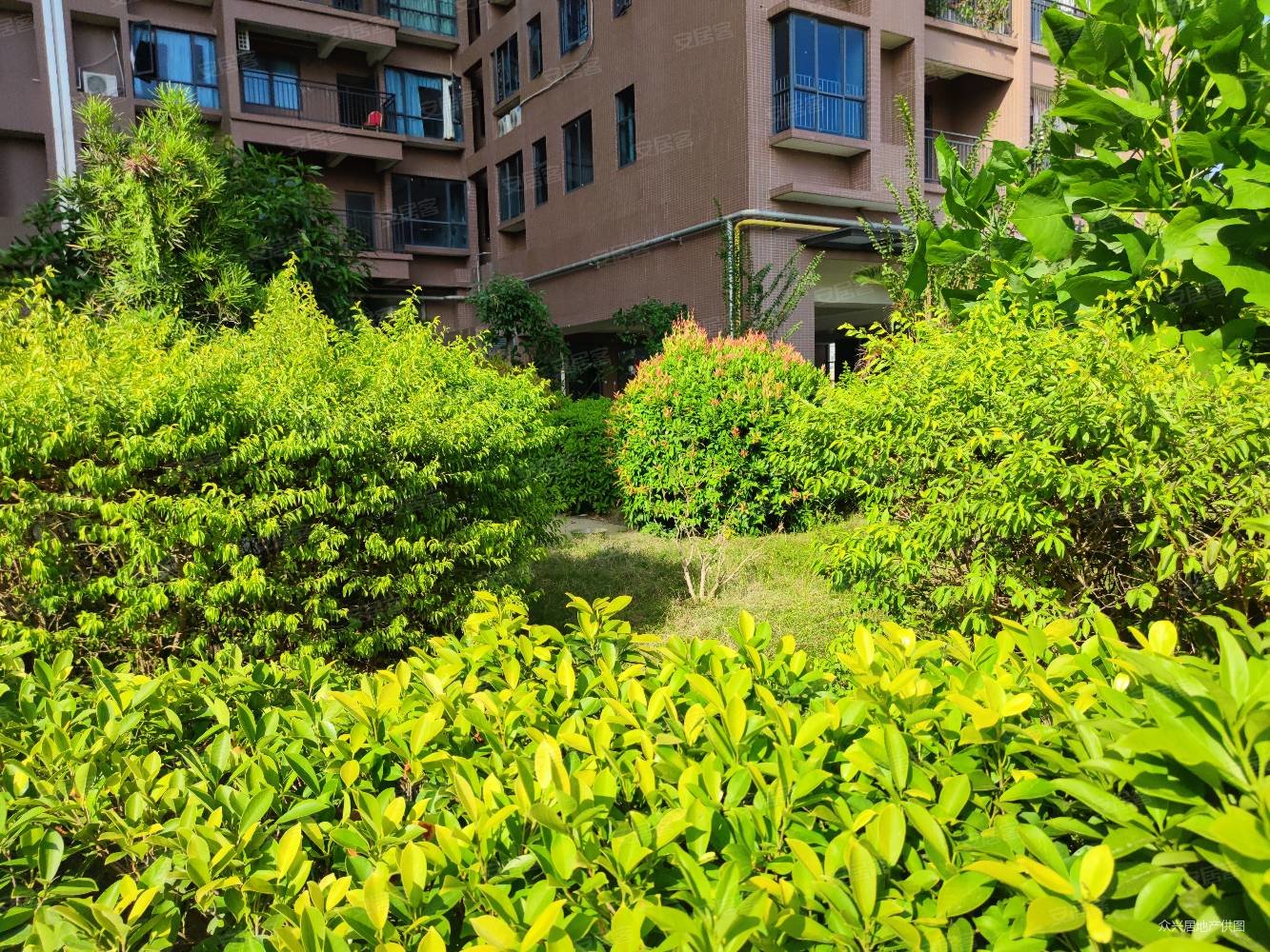 天虹商场旁 华悦名苑 次新小区 学房 首付15万起拎包入住