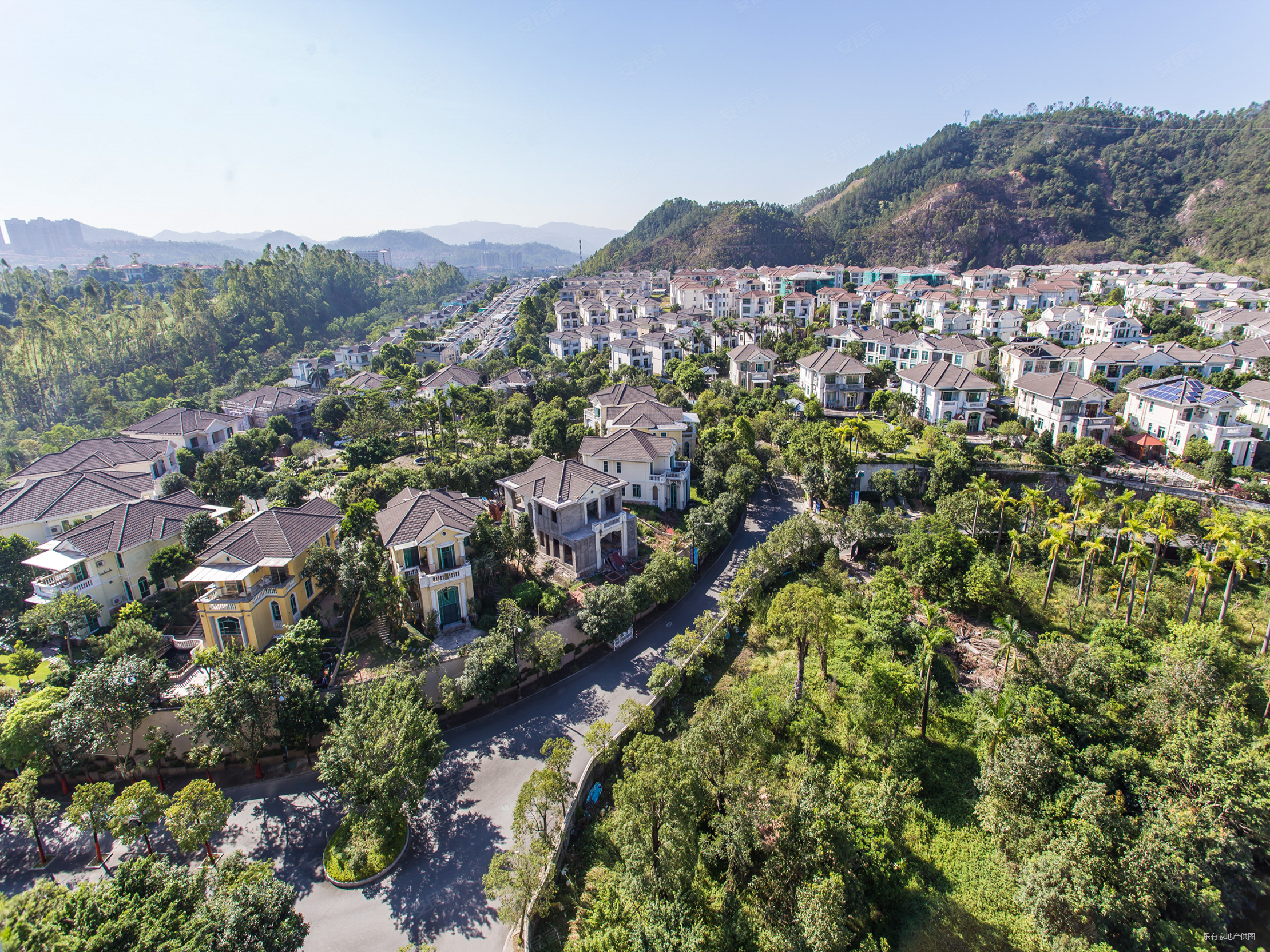 800万买博爱七路独栋大别墅南向大花园采光更好