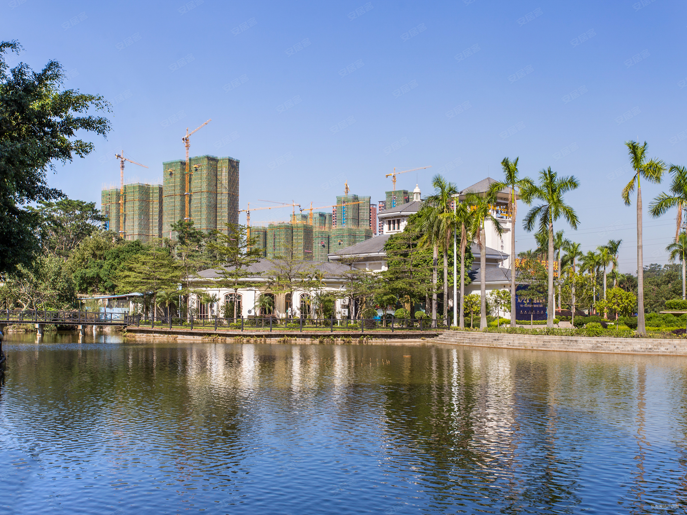 800万买博爱七路独栋大别墅南向大花园采光更好