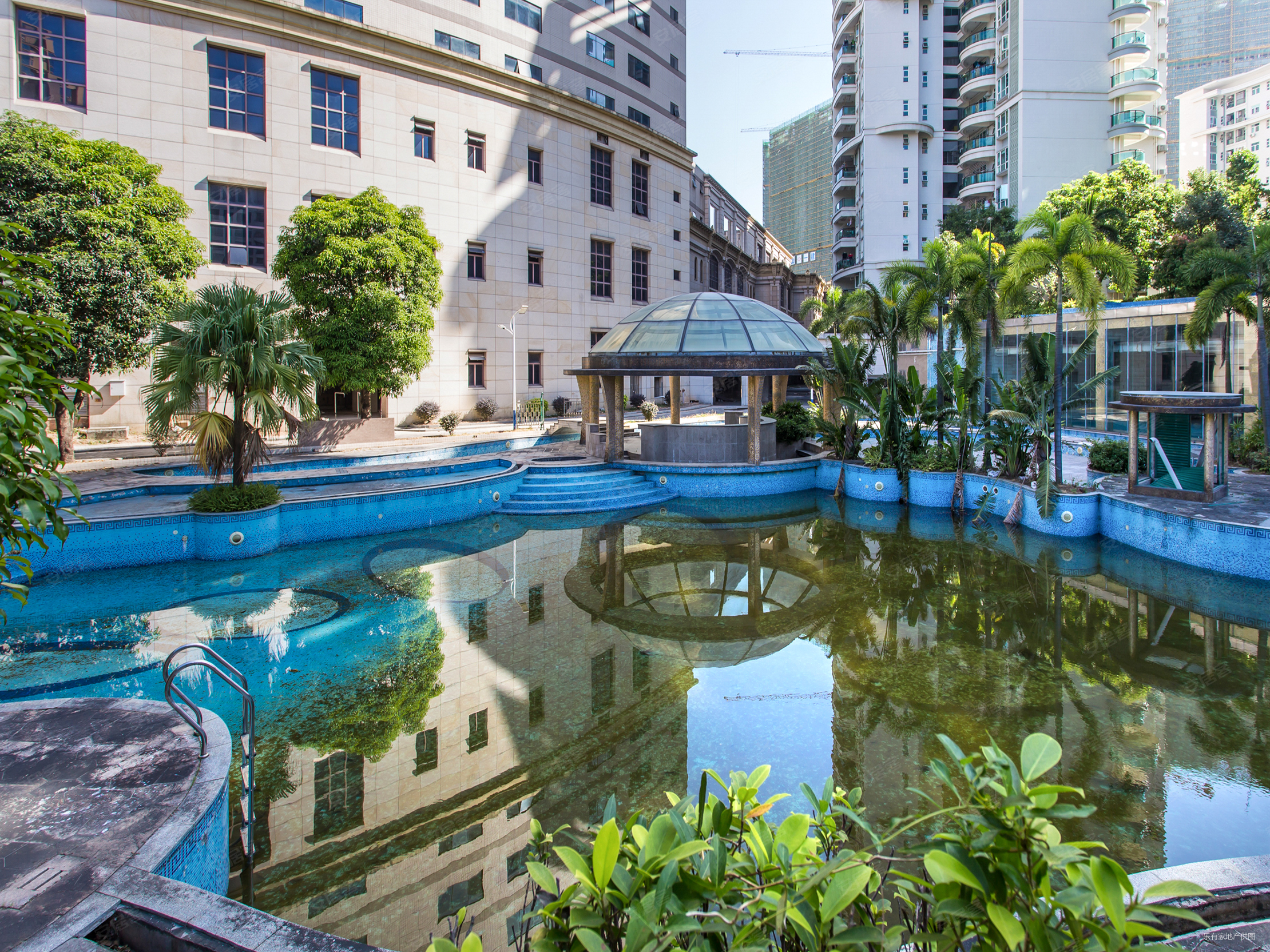 800万买博爱七路独栋大别墅南向大花园采光更好