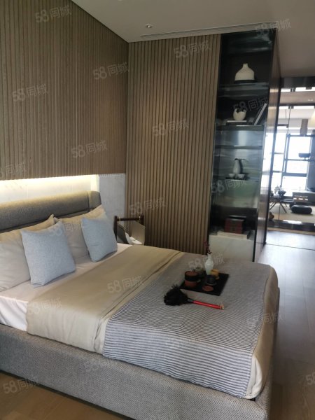 汉京东海九榕府 190平方 独立入户 南北通透 免收任何费用