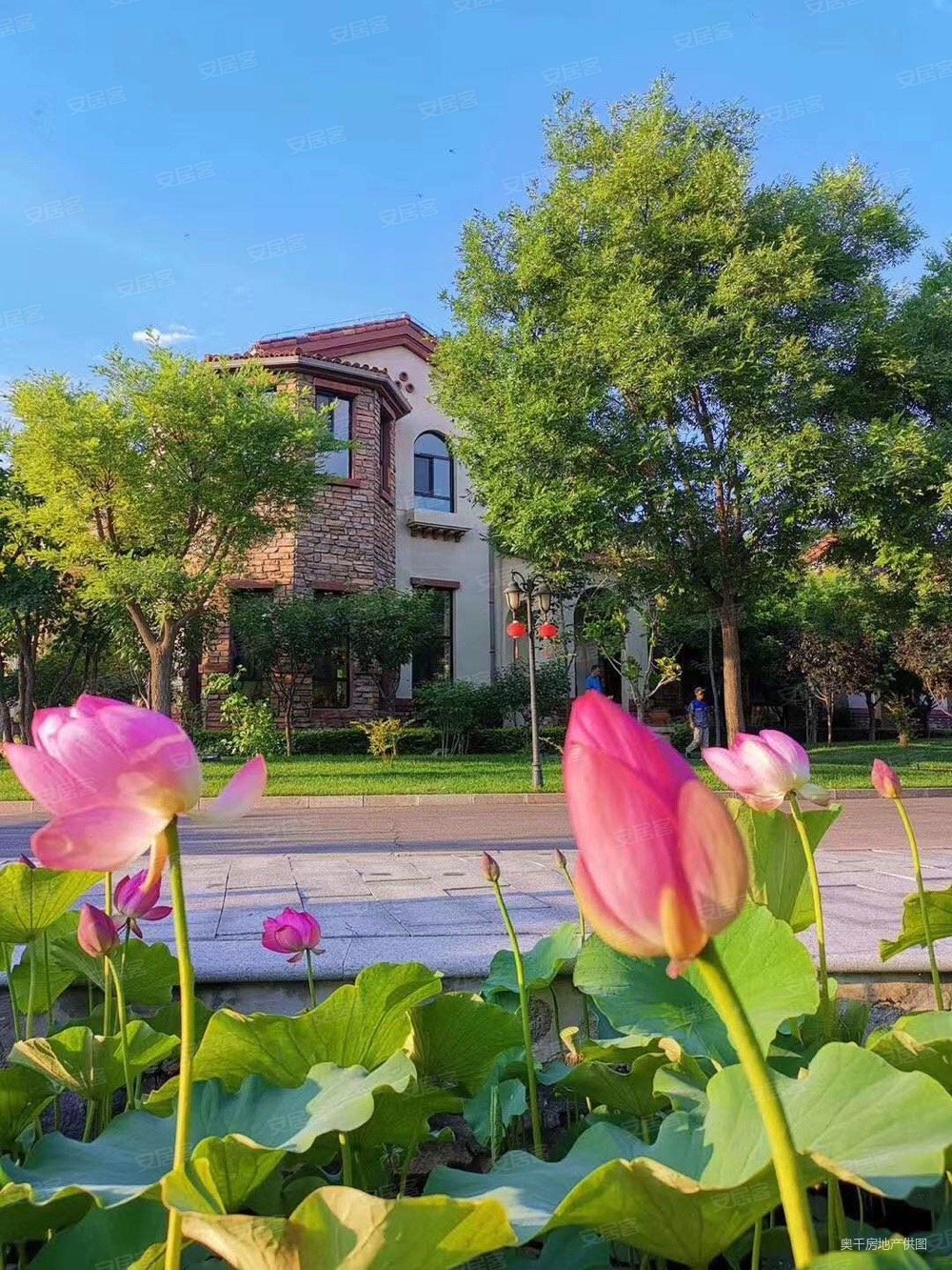 戴河庭院!(内部领导房源一套)现房!