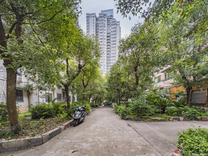 新府花园133平南北通透大四房