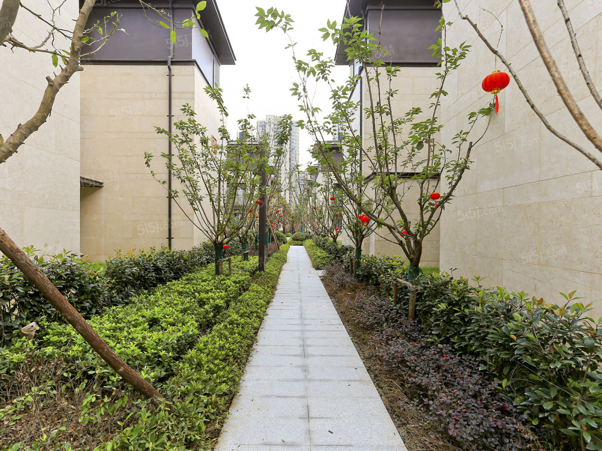 祥生群贤府新上排屋小别墅的感觉一个字棒