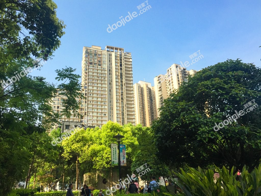 九龙坡区 绿洲华府3房148万