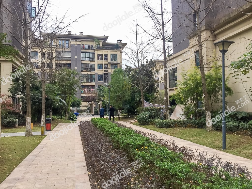 农业园区 隆鑫鸿府三房128万